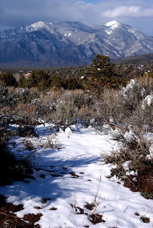 American Artists Gallery House Taos Exterior photo